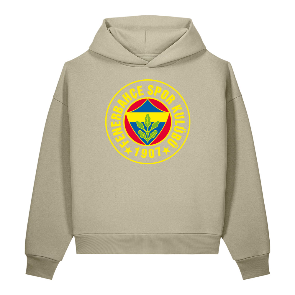Fenerbahçe Istanbul Unisex Sculpted Heavyweight Hoodie - Image 3